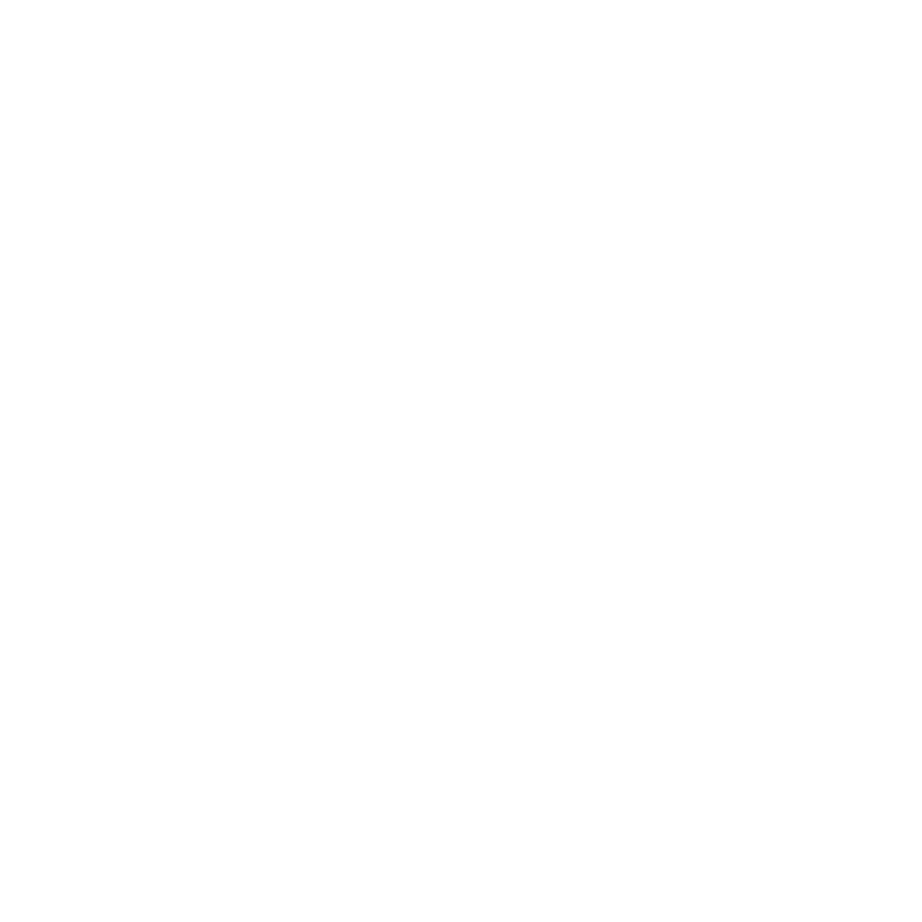 Correct Solution Logo